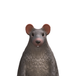 @Pixel_Shader