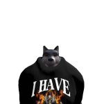 come rocket