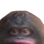 @ploscea1