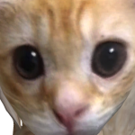 @not_eliseee