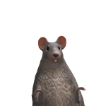 @B7day1