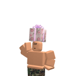 @roblox_user_3774031810