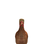 Chicken_Charlie