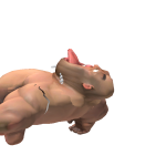 @isntm1