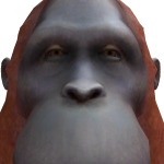 @Lucaslol83
