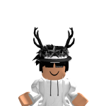 @ninjath20133