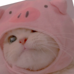 @Unicorntwin_yt1