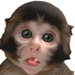 @BenicioGplay