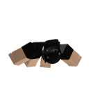 Carlos
