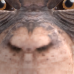 @mrbxn