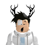 @R0BL0XMJKC11