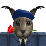 @netbow1