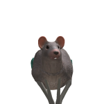 @flawedev