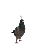 @balloonboy711