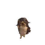 @dwreamzs