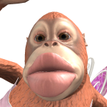 @sanrbxx