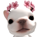 @ChrisNl_Me