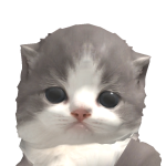 @fwipitys