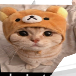 @hqmyman