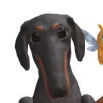 @SAKUR0U