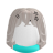 Donatmeow1