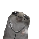 @NOOBNOOBNOOBYYYYTT