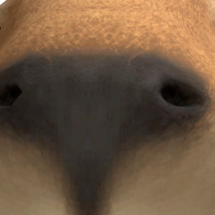 arissxUwU