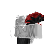 Freddy