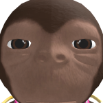 @KINCHlN