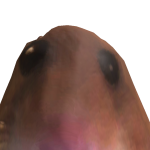@puppyies0