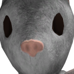 @Boogieshoog4