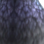 @AL0HABELX0