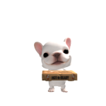 @ii_hxney144