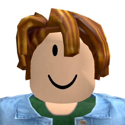 Roblox profile picture for @vw4141
