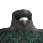 poiiiigigk
