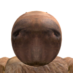 @Guilh3rmexD