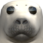 @noxious_cloud