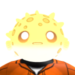 @lilpuffy_fish