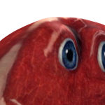 @harambeat