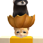 @meowfor_capy