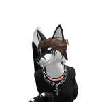 @Skfoxz