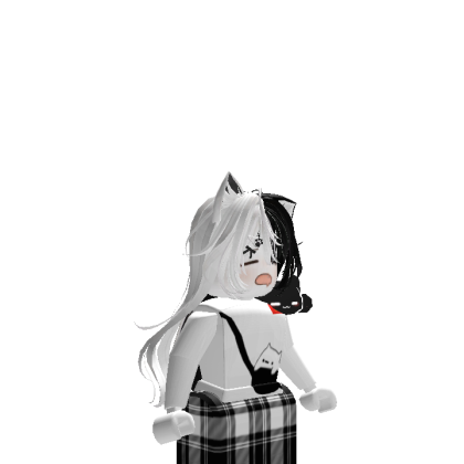 Roblox profile picture for @vn_lam45