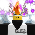 @knoaNinjaa