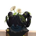 @rejoicingsmiles