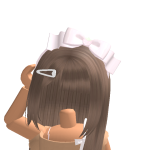 @rajikou