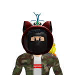 @lilpenguins22