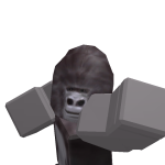 @chunky_monke223