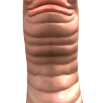 @BliteGamingBW