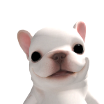 @vinny872