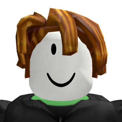 Roblox profile picture for @ryanz_67